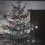 Statek Vranc - Stodola * Bítov